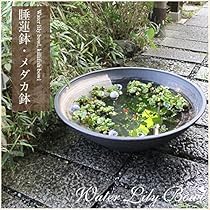 睡蓮 ( 額装済み) 61Esq+VSo5L._AC_UL210_SR210,